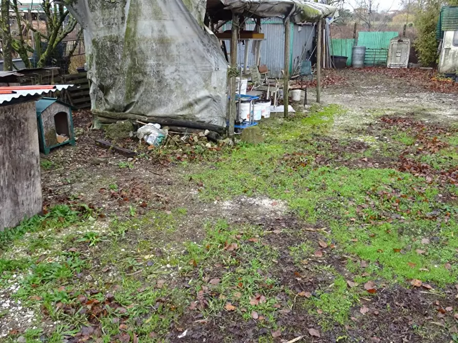 Immagine 2 di Terreno agricolo in vendita  a Larciano