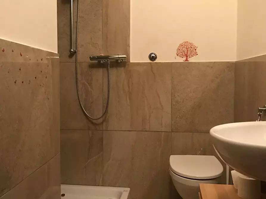 Immagine 11 di Terratetto in vendita  a Calci