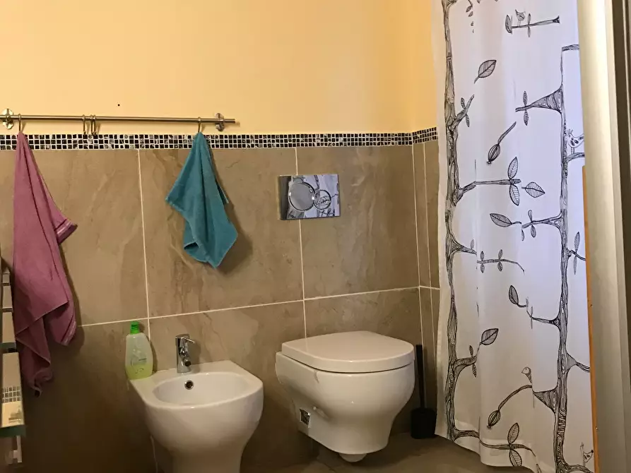 Immagine 15 di Terratetto in vendita  a Calci