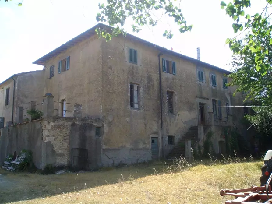 Immagine 6 di Azienda agricola in vendita  a San Gimignano