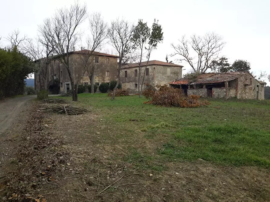 Immagine 13 di Azienda agricola in vendita  a San Gimignano