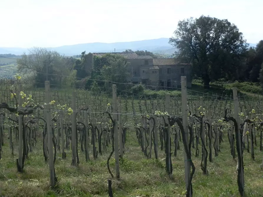 Immagine 1 di Azienda agricola in vendita  a San Gimignano