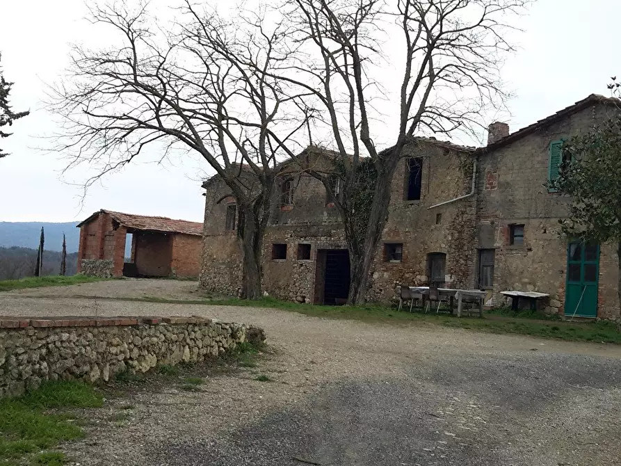 Immagine 9 di Azienda agricola in vendita  a San Gimignano