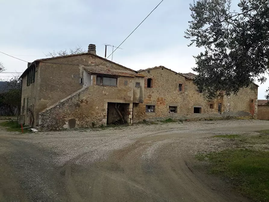 Immagine 7 di Azienda agricola in vendita  a San Gimignano