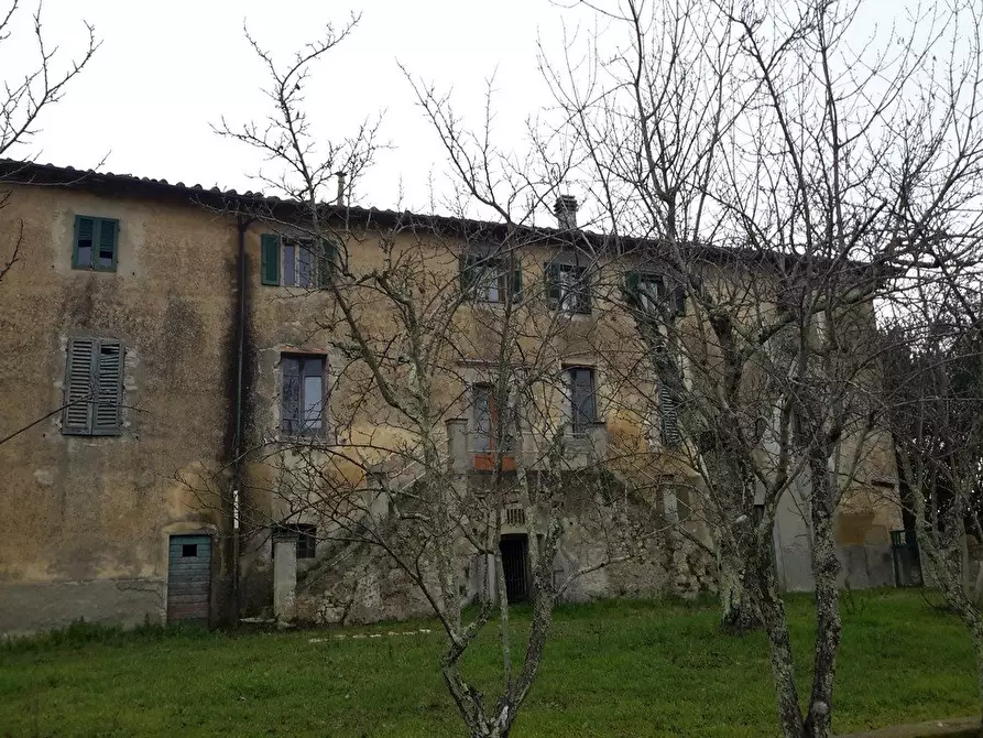 Immagine 14 di Azienda agricola in vendita  a San Gimignano