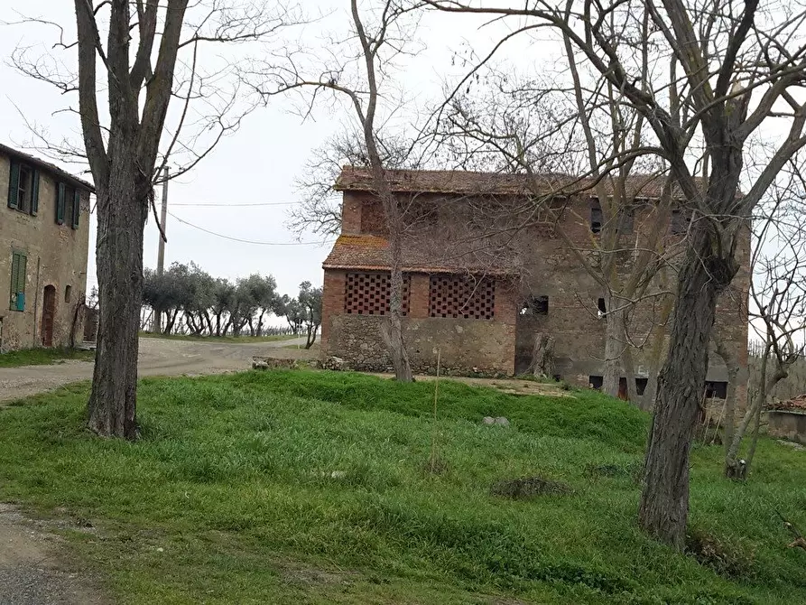 Immagine 8 di Azienda agricola in vendita  a San Gimignano