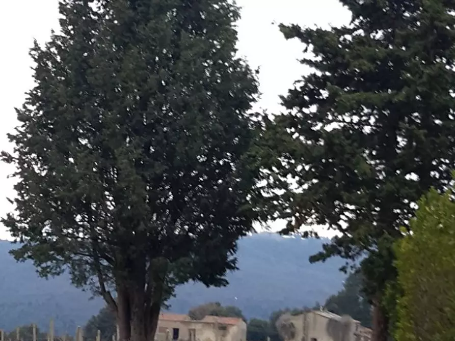 Immagine 15 di Azienda agricola in vendita  a San Gimignano