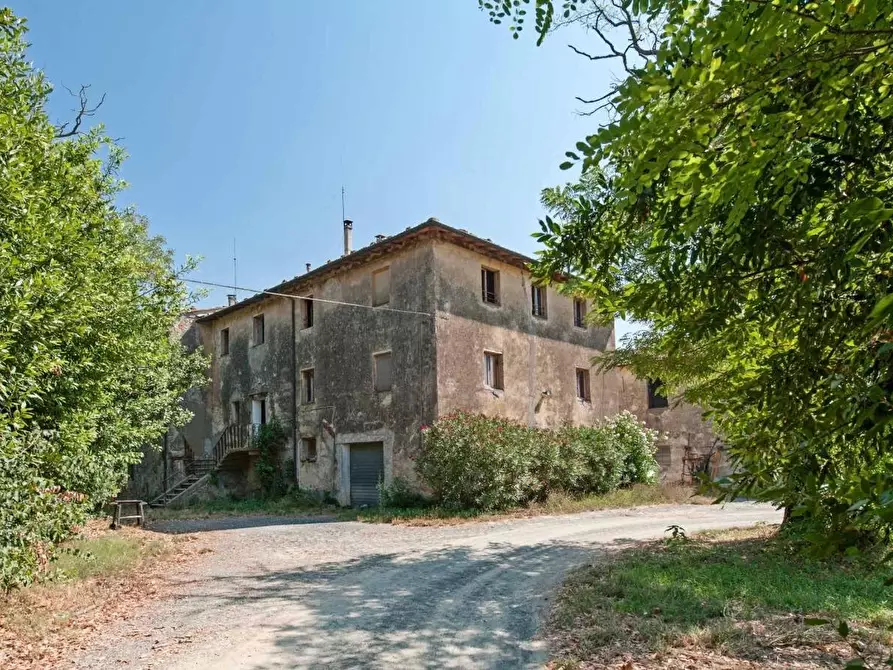 Immagine 5 di Azienda agricola in vendita  a San Gimignano