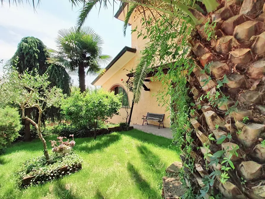 Immagine 29 di Casa colonica in vendita  a Massarosa