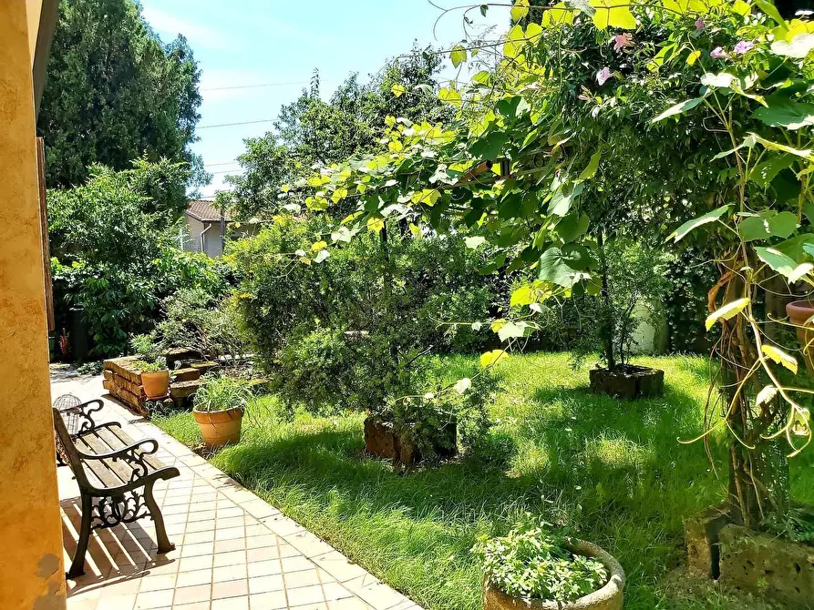 Immagine 25 di Casa colonica in vendita  a Massarosa