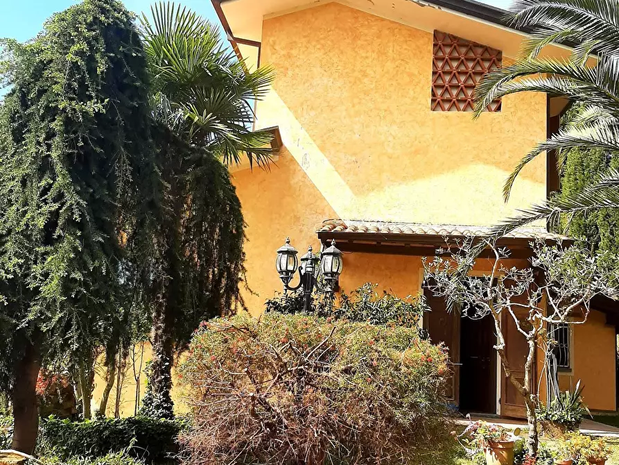 Immagine 27 di Casa colonica in vendita  a Massarosa