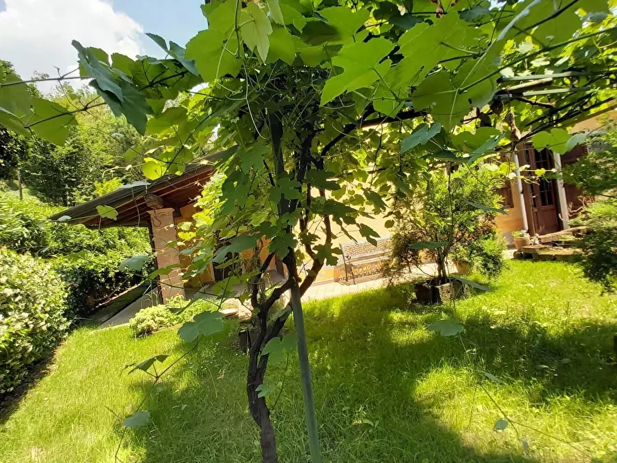 Immagine 26 di Casa colonica in vendita  a Massarosa