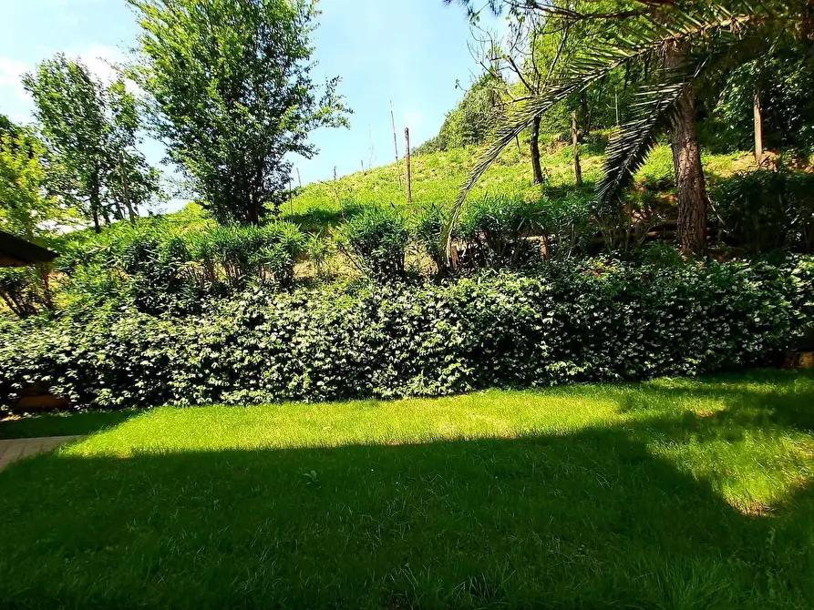 Immagine 23 di Casa colonica in vendita  a Massarosa