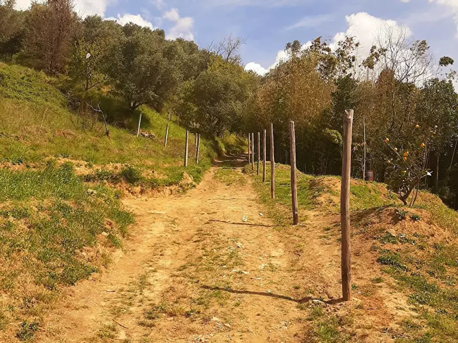 Immagine 31 di Casa colonica in vendita  a Massarosa