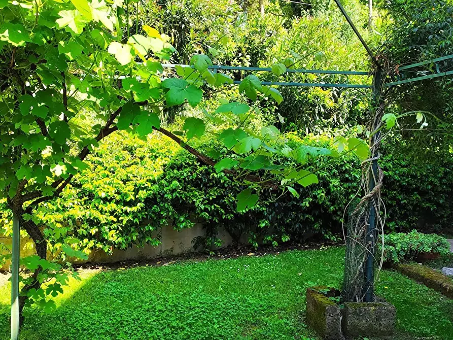 Immagine 32 di Casa colonica in vendita  a Massarosa