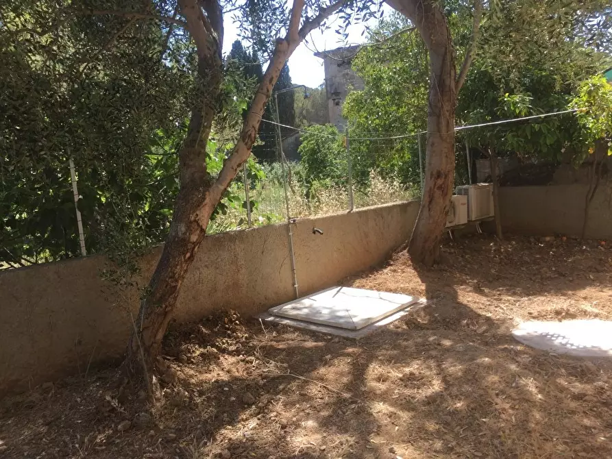 Immagine 17 di Appartamento in affitto  a Rosignano Marittimo