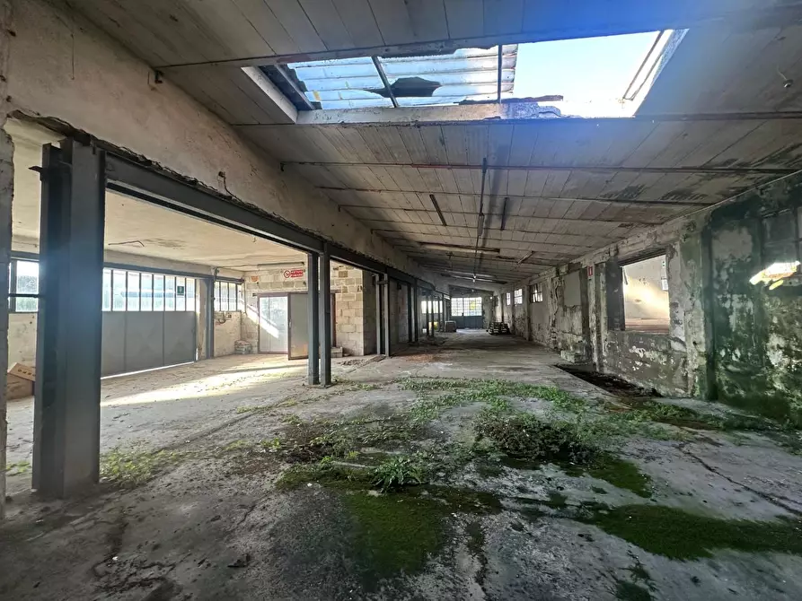 Immagine 4 di Attività artigianale in vendita  a Capannori