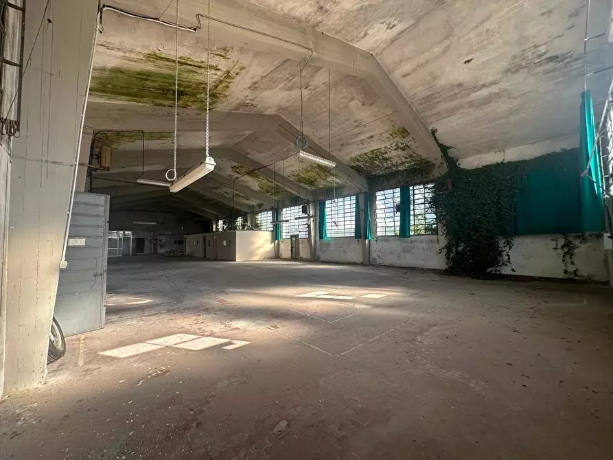 Immagine 5 di Attività artigianale in vendita  a Capannori