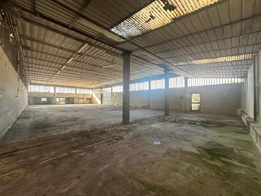 Immagine 7 di Attività artigianale in vendita  a Capannori