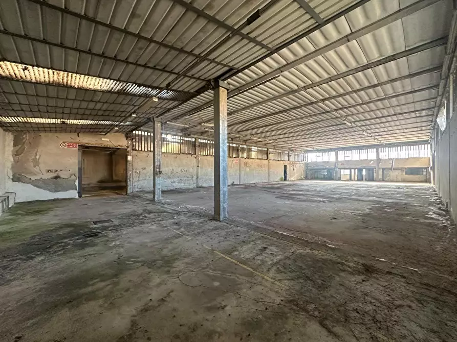 Immagine 3 di Attività artigianale in vendita  a Capannori