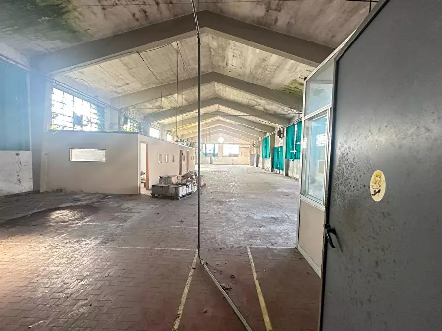 Immagine 9 di Attività artigianale in vendita  a Capannori