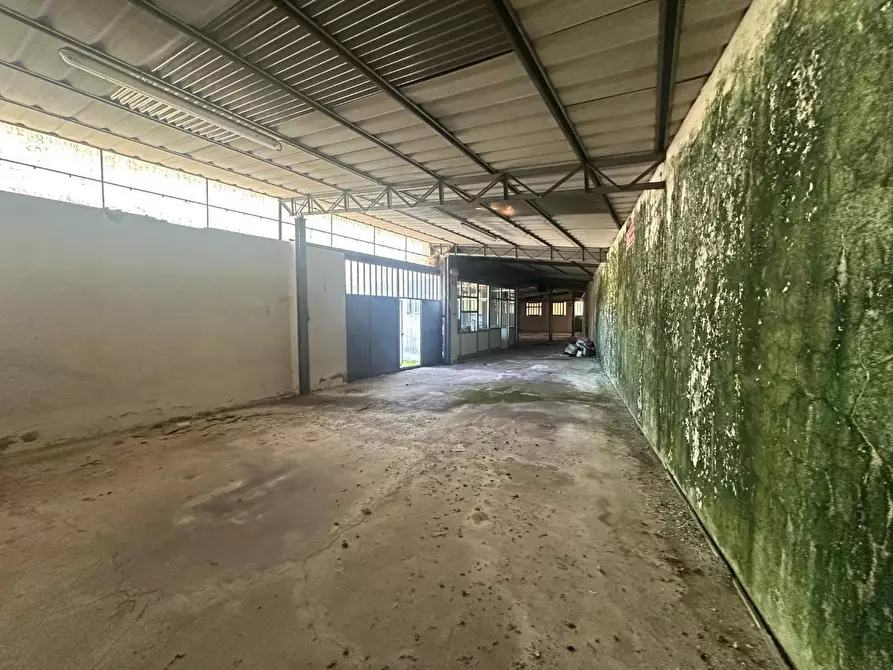 Immagine 12 di Attività artigianale in vendita  a Capannori