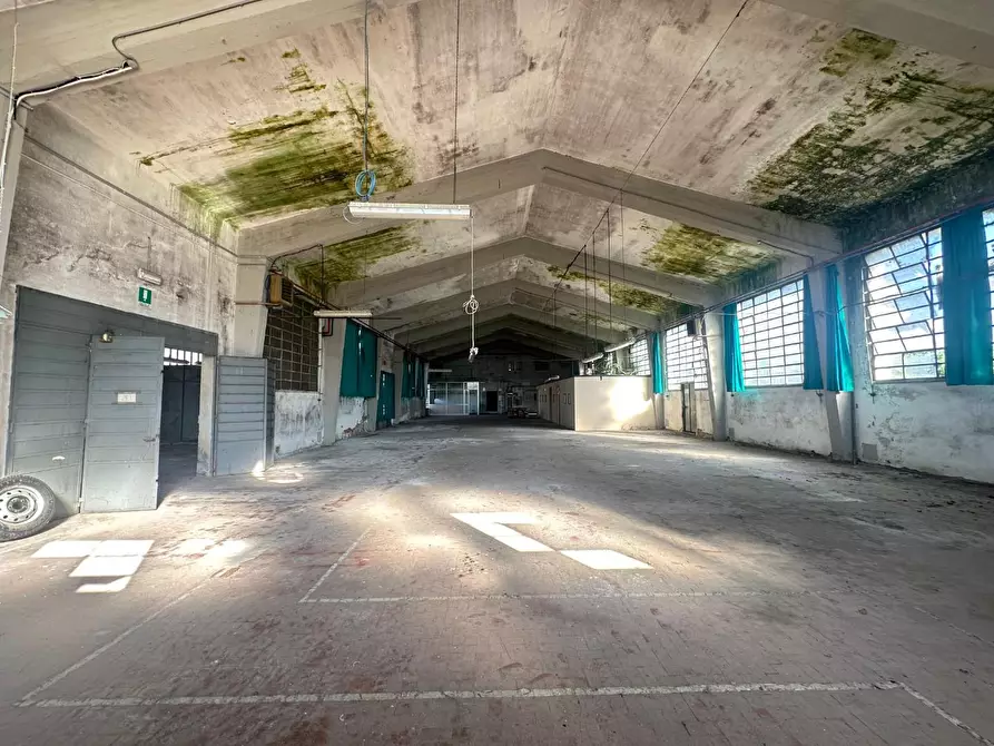 Immagine 10 di Attività artigianale in vendita  a Capannori