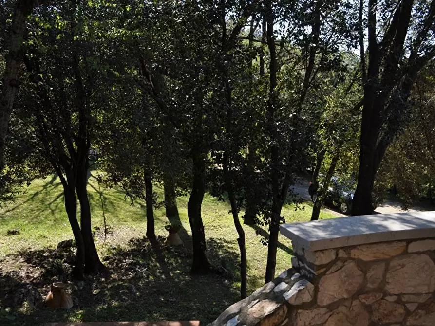 Immagine 33 di Villa in vendita  a Carrara