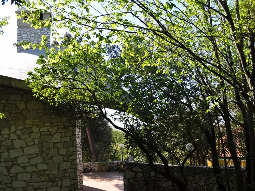 Immagine 17 di Villa in vendita  a Carrara