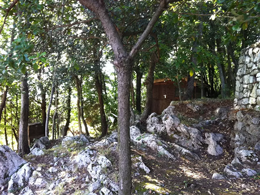 Immagine 10 di Villa in vendita  a Carrara