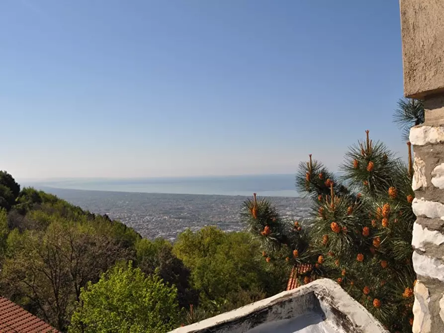 Immagine 24 di Villa in vendita  a Carrara