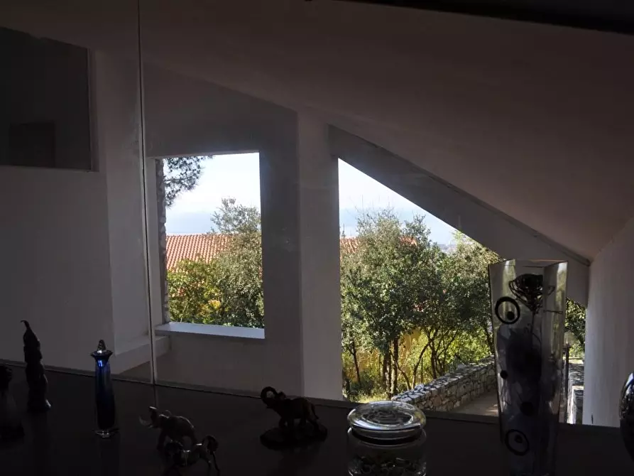 Immagine 5 di Villa in vendita  a Carrara