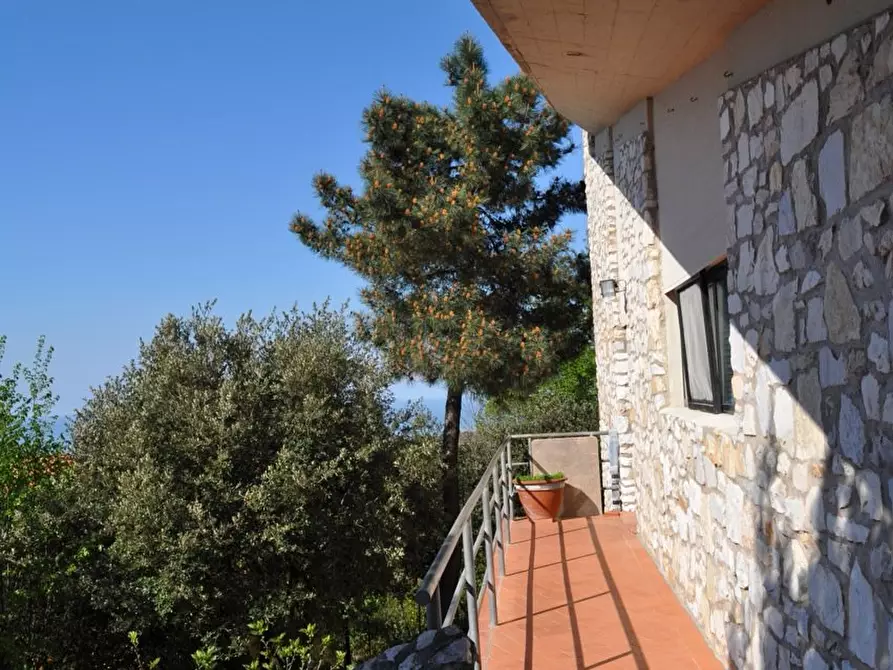 Immagine 22 di Villa in vendita  a Carrara