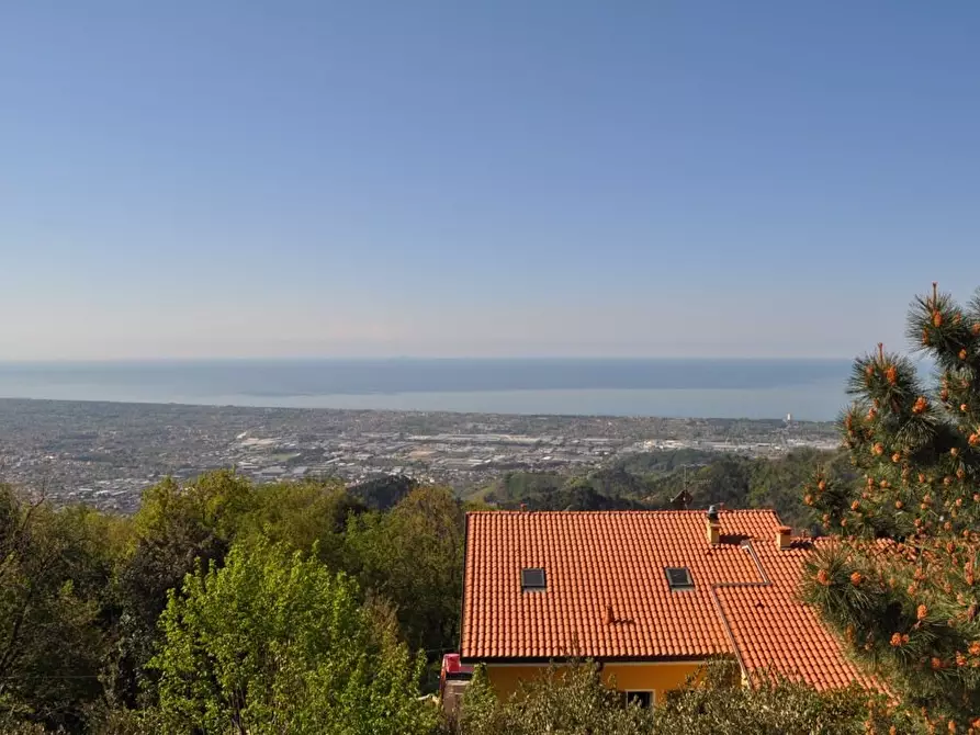 Immagine 2 di Villa in vendita  a Carrara