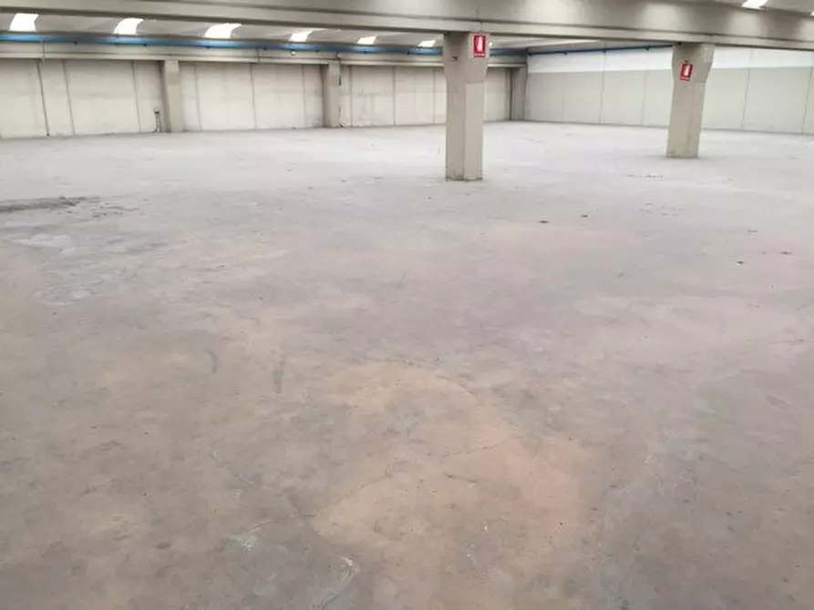 Immagine 3 di Capannone industriale in affitto  a Altopascio