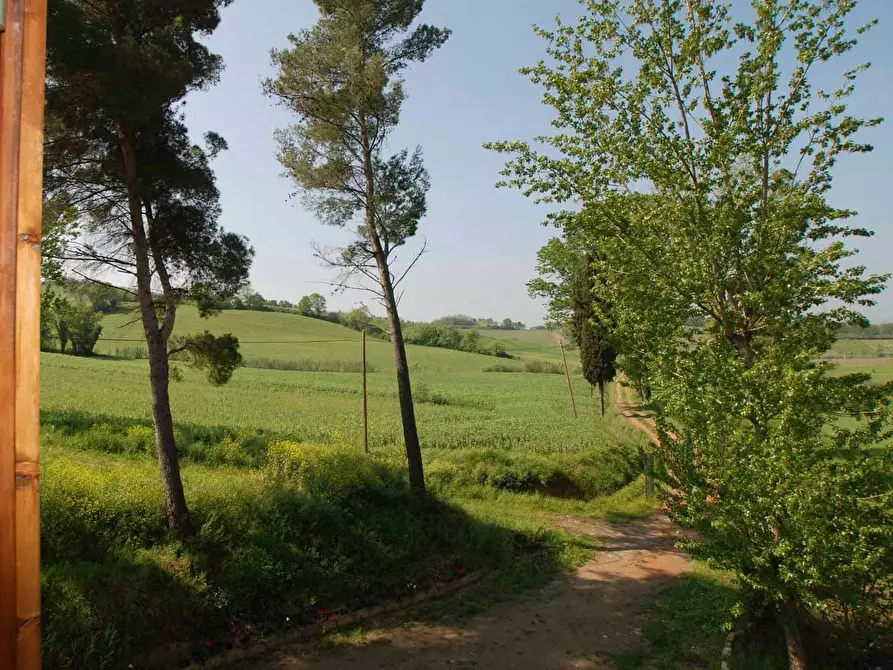 Immagine 22 di Casa colonica in vendita  a Casciana Terme Lari