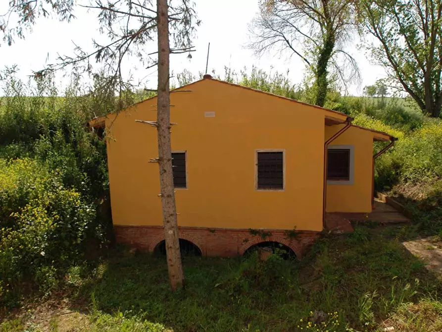 Immagine 6 di Casa colonica in vendita  a Casciana Terme Lari