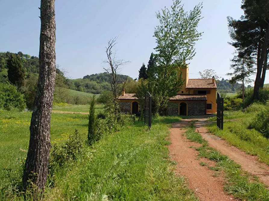 Immagine 7 di Casa colonica in vendita  a Casciana Terme Lari