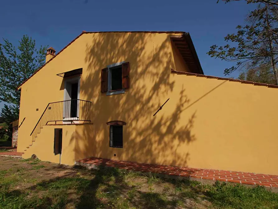 Immagine 5 di Casa colonica in vendita  a Casciana Terme Lari
