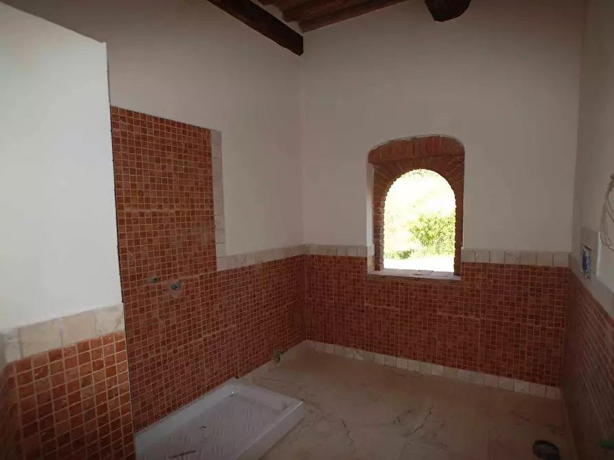 Immagine 13 di Casa colonica in vendita  a Casciana Terme Lari