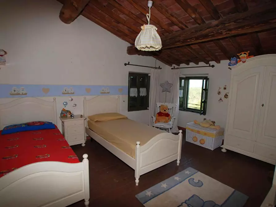 Immagine 20 di Casa colonica in vendita  a Pontedera