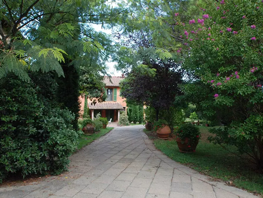 Immagine 9 di Casa colonica in vendita  a Pontedera