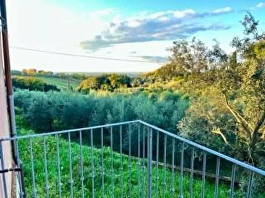 Immagine 21 di Villa in vendita  a Casciana Terme Lari