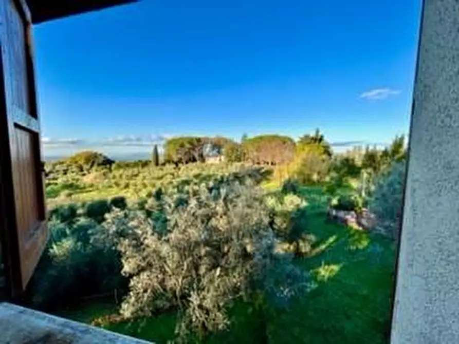 Immagine 22 di Villa in vendita  a Casciana Terme Lari
