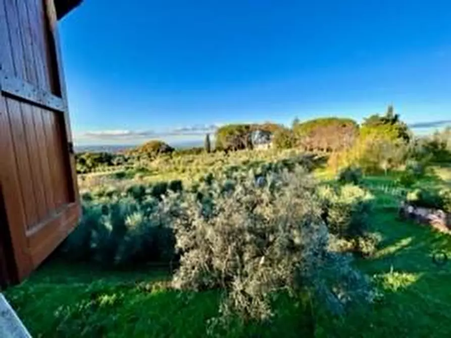 Immagine 23 di Villa in vendita  a Casciana Terme Lari