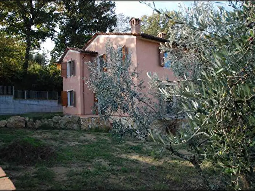 Immagine 5 di Villa in vendita  a Casciana Terme Lari