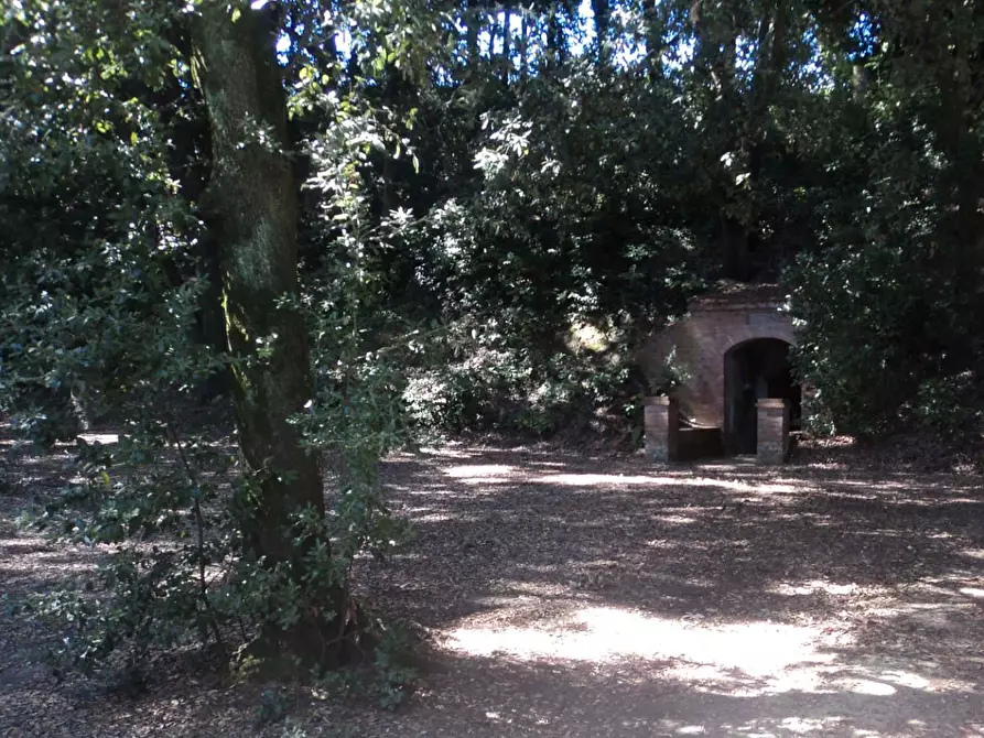 Immagine 14 di Villa in vendita  a Casciana Terme Lari