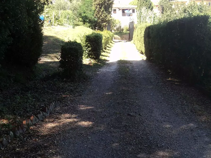 Immagine 13 di Villa in vendita  a Casciana Terme Lari