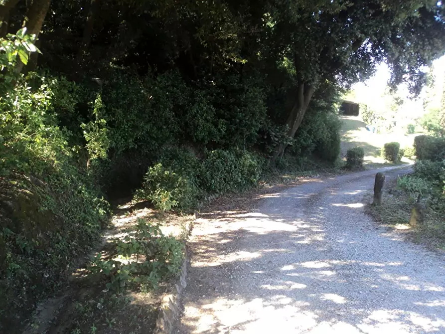 Immagine 11 di Villa in vendita  a Casciana Terme Lari