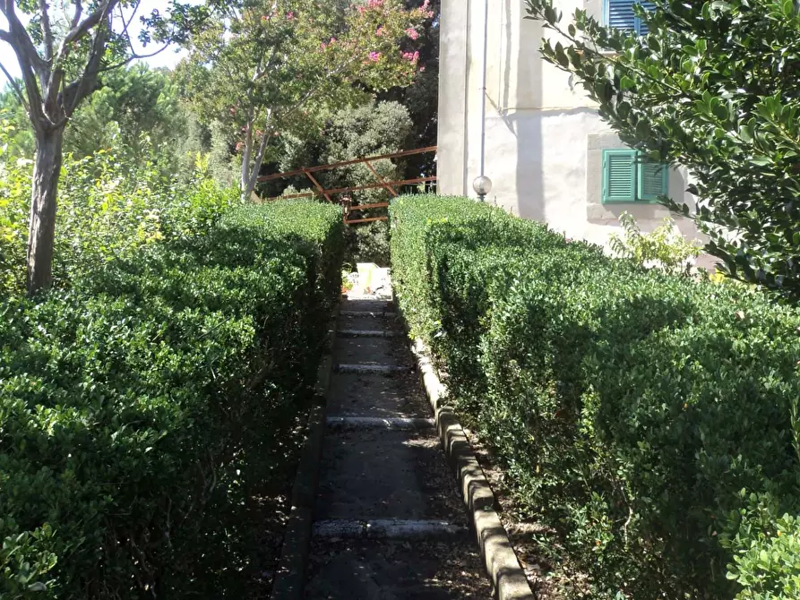 Immagine 6 di Villa in vendita  a Casciana Terme Lari
